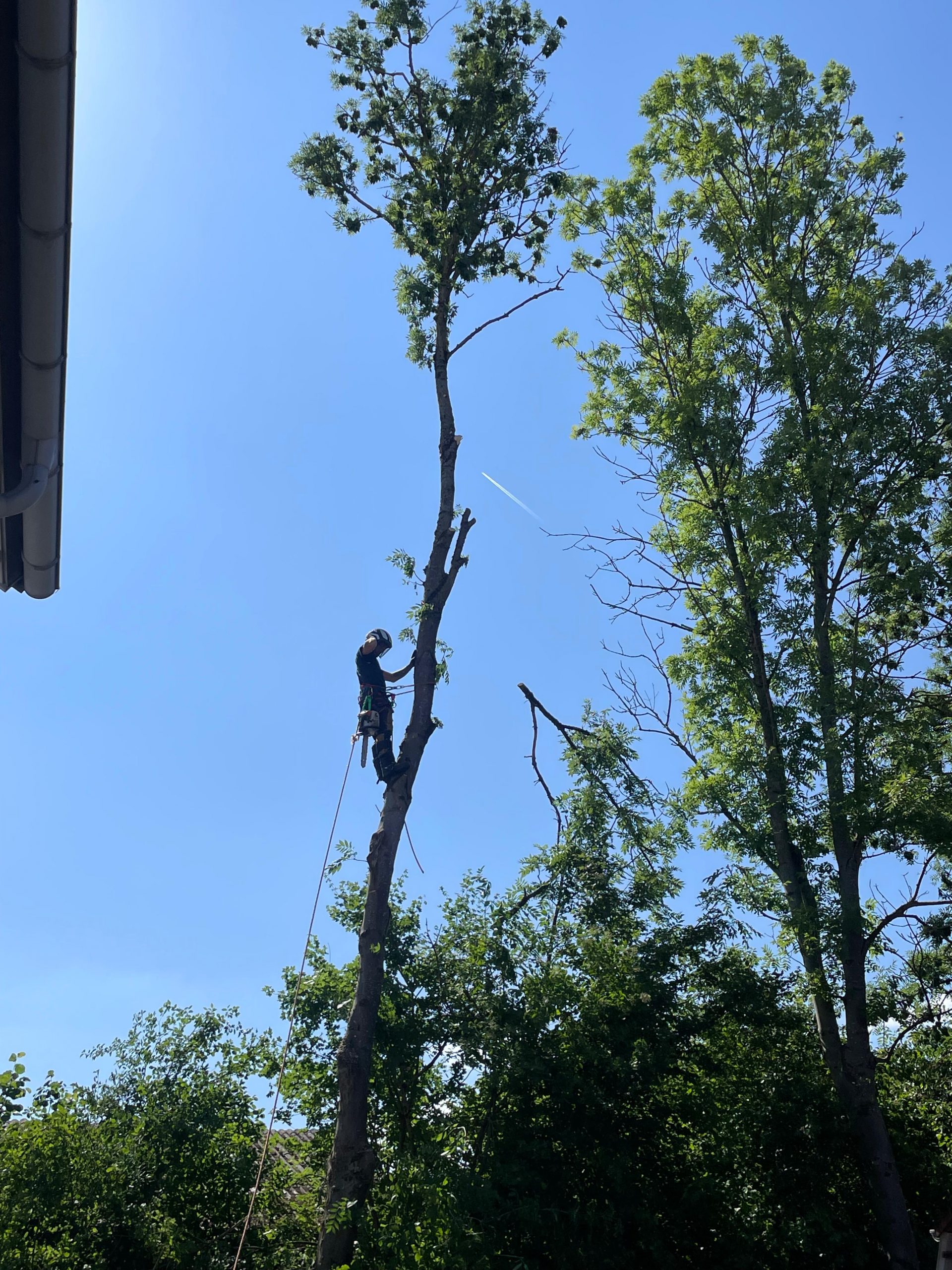 WhatsApp Image 2025-12-24 at 11.22.24 (1)